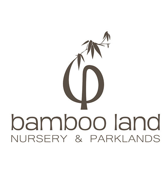 bamboo land